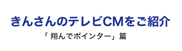 きんさんのテレビCMをご紹介