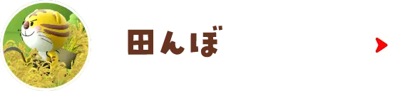 田んぼ
