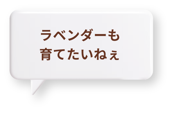 ラベンダーも育てたいねぇ